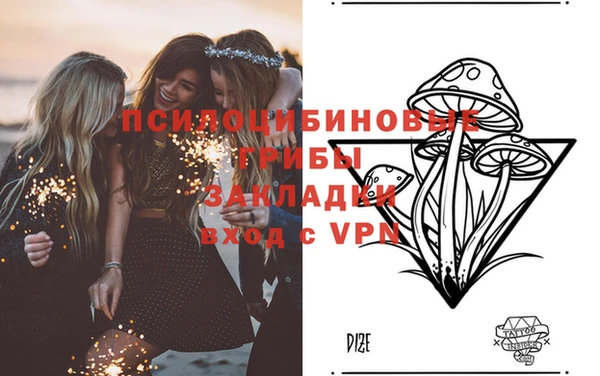 Альфа ПВП Магадан