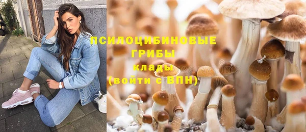 a pvp Магас