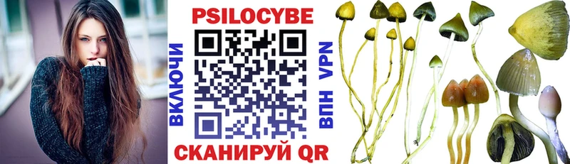 Псилоцибиновые грибы Magic Shrooms  Новосиль 